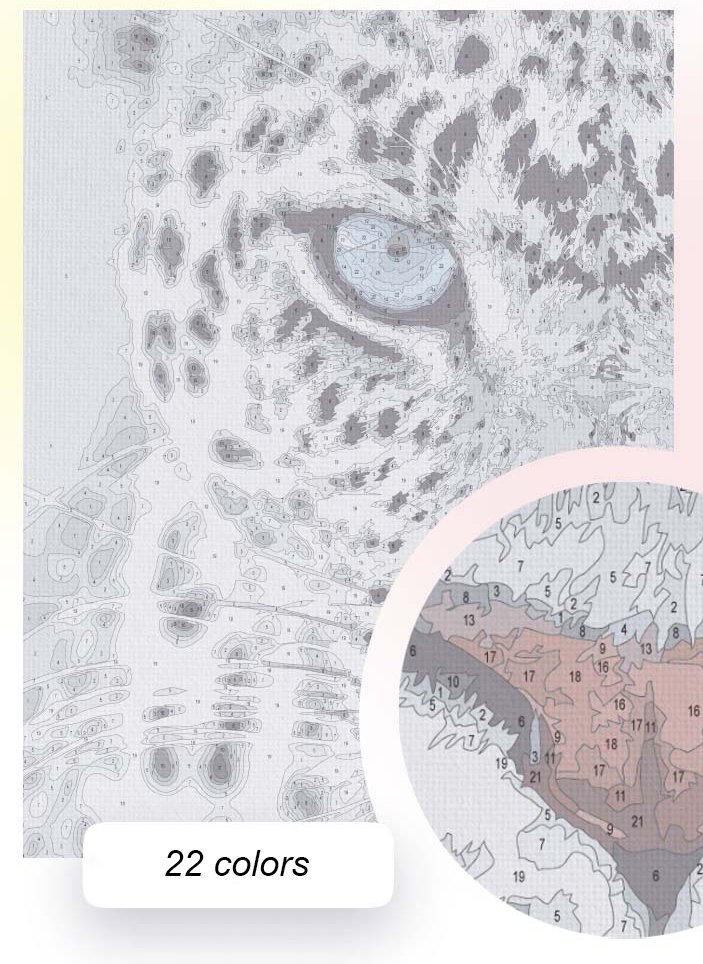 Leopard stare - Image 3